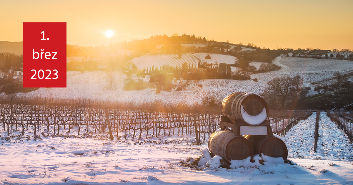 DEGUSTACE VÍN Z PRESTIŽNÍCH ZÁMKŮ V BORDEAUX