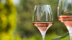 LETNÍ VÍNA, IDEÁLNÍ NA SLUNNÉ TERASY, PIKNIKY A LETNÍ PÁRTY