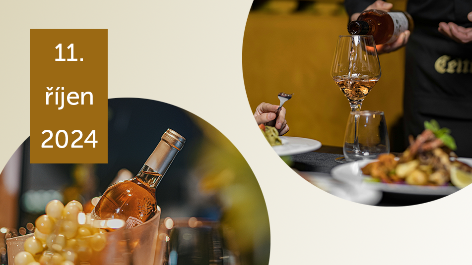 Degustace se zahraničními vinaři 11. října 2024