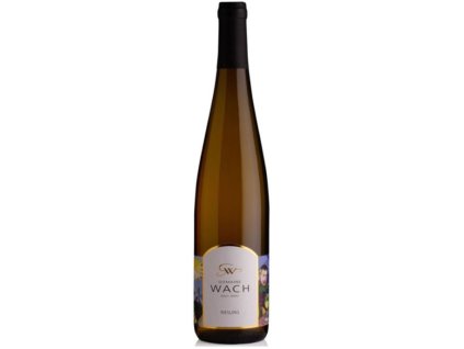 Riesling Alsace AOC BIO Domaine Wach