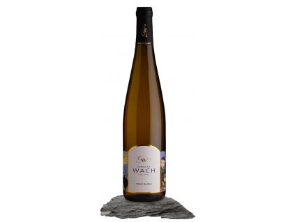 pinot blanc domaine wach