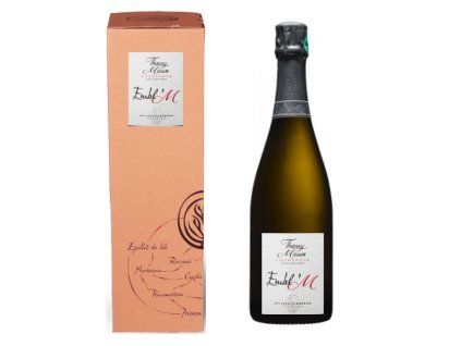Láhev Champagne v dárkové krabičce na Magnum láhvi v dobravina.cz