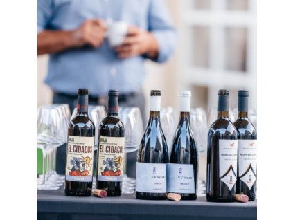 Degustační vstupenka