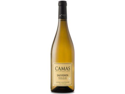 Sauvignon camas