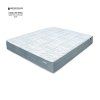 Adapti0 1200x1200 2 1600x1600
