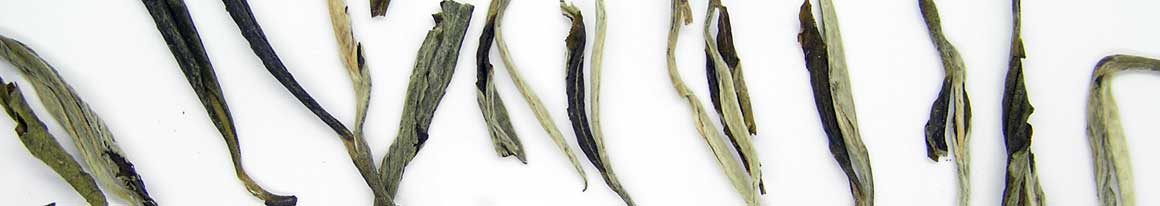 cinsky-zluty-huang-ya-yunnan-NepustilTea.cz-OchutnejCaj.cz-0014