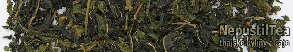 P1010266_NepustilTea.cz_mullberry_green_tea_morusovnik_b_01