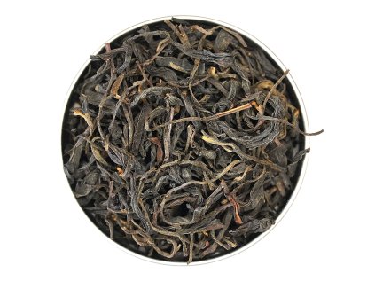 gruzinsky amiran 2015 01 NepustilTea archiv