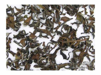 2024 thai oriental beauty nerolovany 01