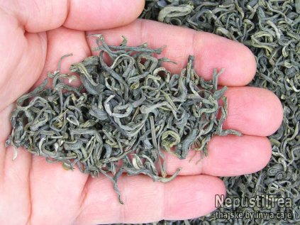 P1010012 NepustilTea.cz Vietnamese Ha Giang Ancient Tea a 01