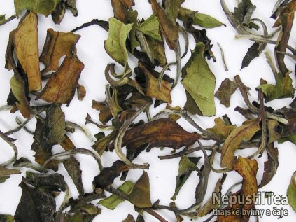 P1010014 NepustilTea.cz vietnamese pai mu tan a 013