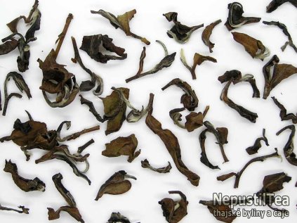 P1010043 NepustilTea.cz vietnamese butterfly tea nt a 014