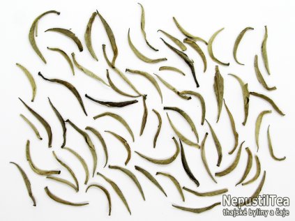 cejlonske stribrne jehly NepustilTea.cz DobreCaje.cz 1024x768 a 01