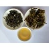 darjeeling risheehat 2024