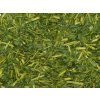 kukicha gyokuro karigane green tea wet leaf NepustilTea.cz