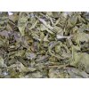 vietnamese shan tuyet da shu 2023 NepustilTea.cz wet leaf