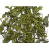 vietnamsky zeleny caj Thi Nguyen Early Spring Tea NepustilTea.cz wet leaf