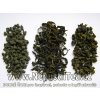 deg tandem 3 ginseng greenot jing shuan 900 01
