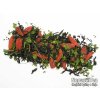 P1010011 NepustilTea.cz thai moringa goji black tea a 013