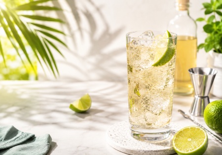 Highball revolúcia: Prečo sú 2-zložkové drinky novým kráľom domáceho baru a ako ich namiešať bez chýb