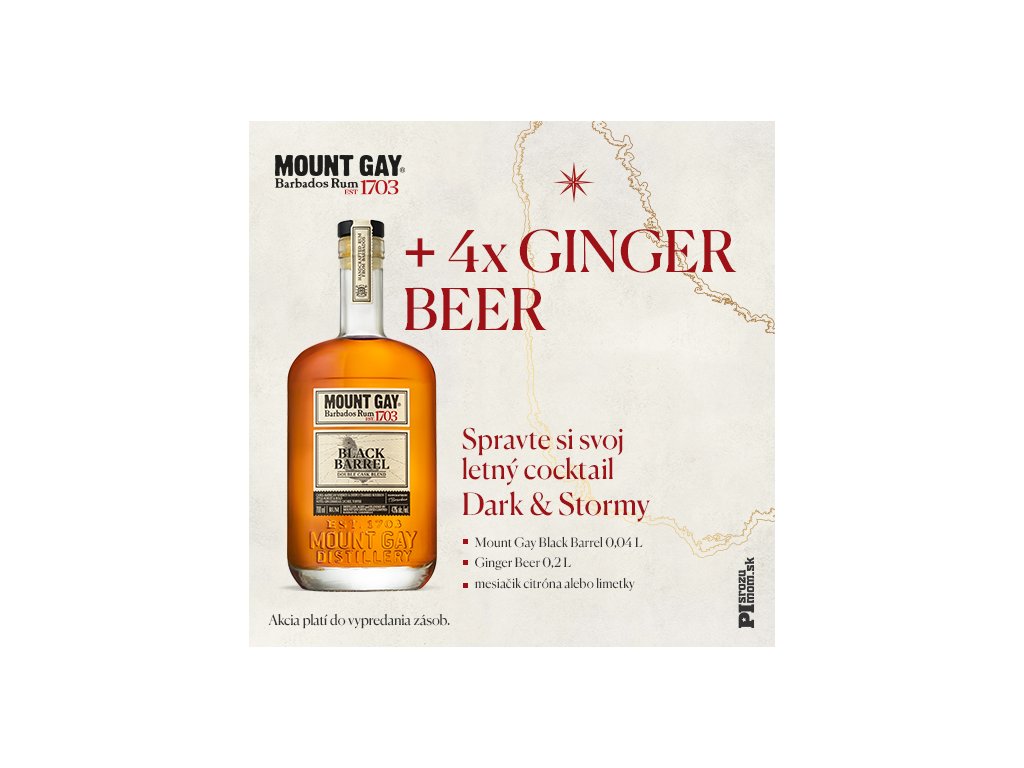 MG a ginger beer BANER 526x526px C 004web kopie