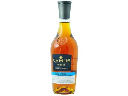 camus vs intense bez