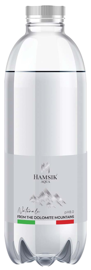 Hamsik Aqua Naturale – Nesýtená 0,5l