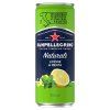 San Pellegrino Mäta-citrón 6x330ml