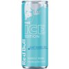 RedBull Winter IceBerry