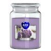 Aura Bispol Lavender vonná sviečka 500g