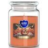 Aura Bispol Halloween vonná sviečka 500g