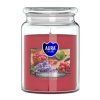 Aura Bispol Raspberry Lavender vonná sviečka 500g