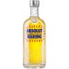 Absolut Haring 40% 0,7l