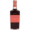 Hayman's Sloe Gin 26% 0,7l