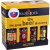 Kaltenecker 8 pack MIX 8 x 0,33 l