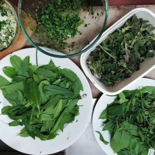 💚💚💚 Bez komentáře. Už to jede, už to fičí. 💚💚💚