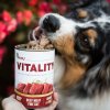 Akinu VITALITY konzerva hovězí jemně krájená svalovina pro psy 400 g