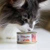 Akinu VITALITY konzerva kuřecí s lososem pro kočky 70 g