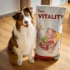 Akinu VITALITY granule dog adult medium lamb & chicken 12kg
