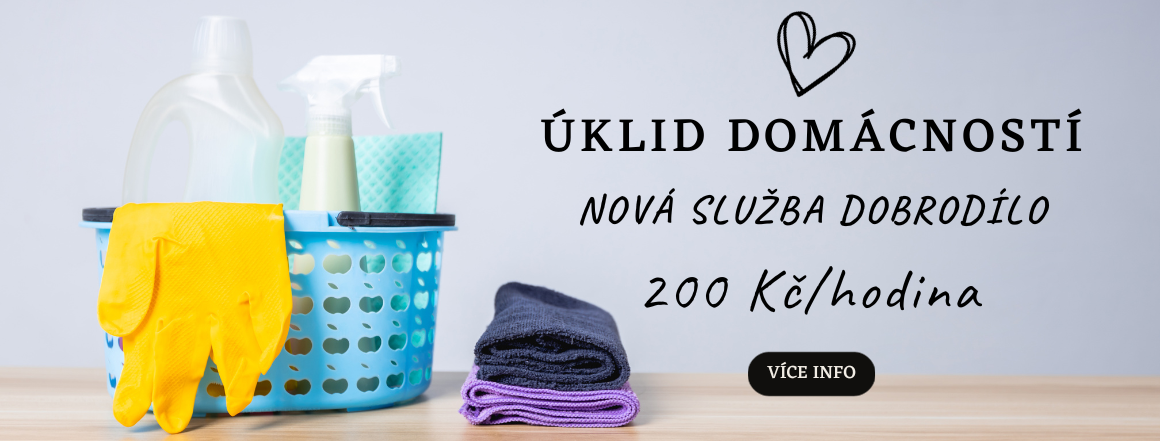Úklidové služby - úklid domácností a kanceláří