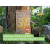 RAW sušené Mango 70g