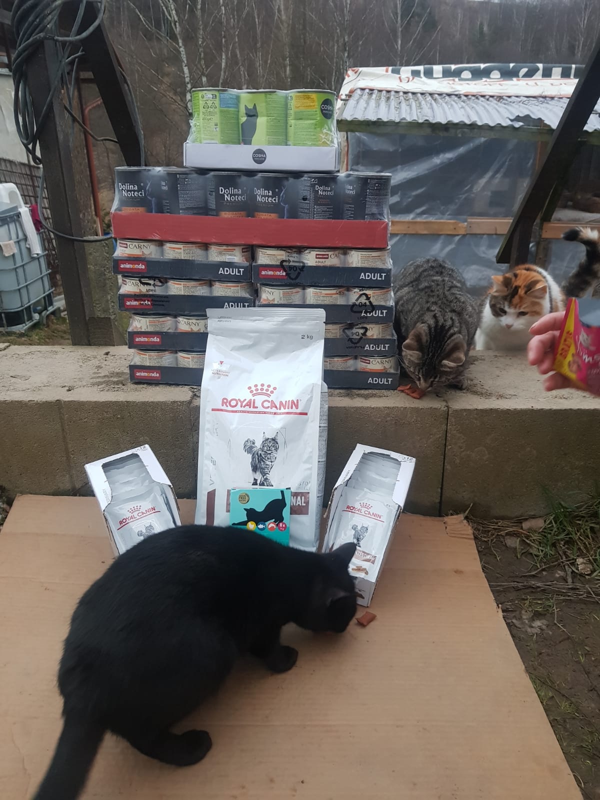 V únoru jsme pdopořili azyl Konec toulání