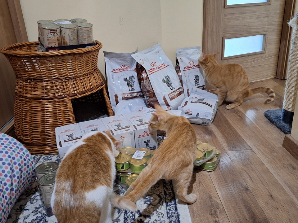 Košík praskal ve všech a kurýr doručil téměř 70 kilo krmiva do Kočičích očí Kolín