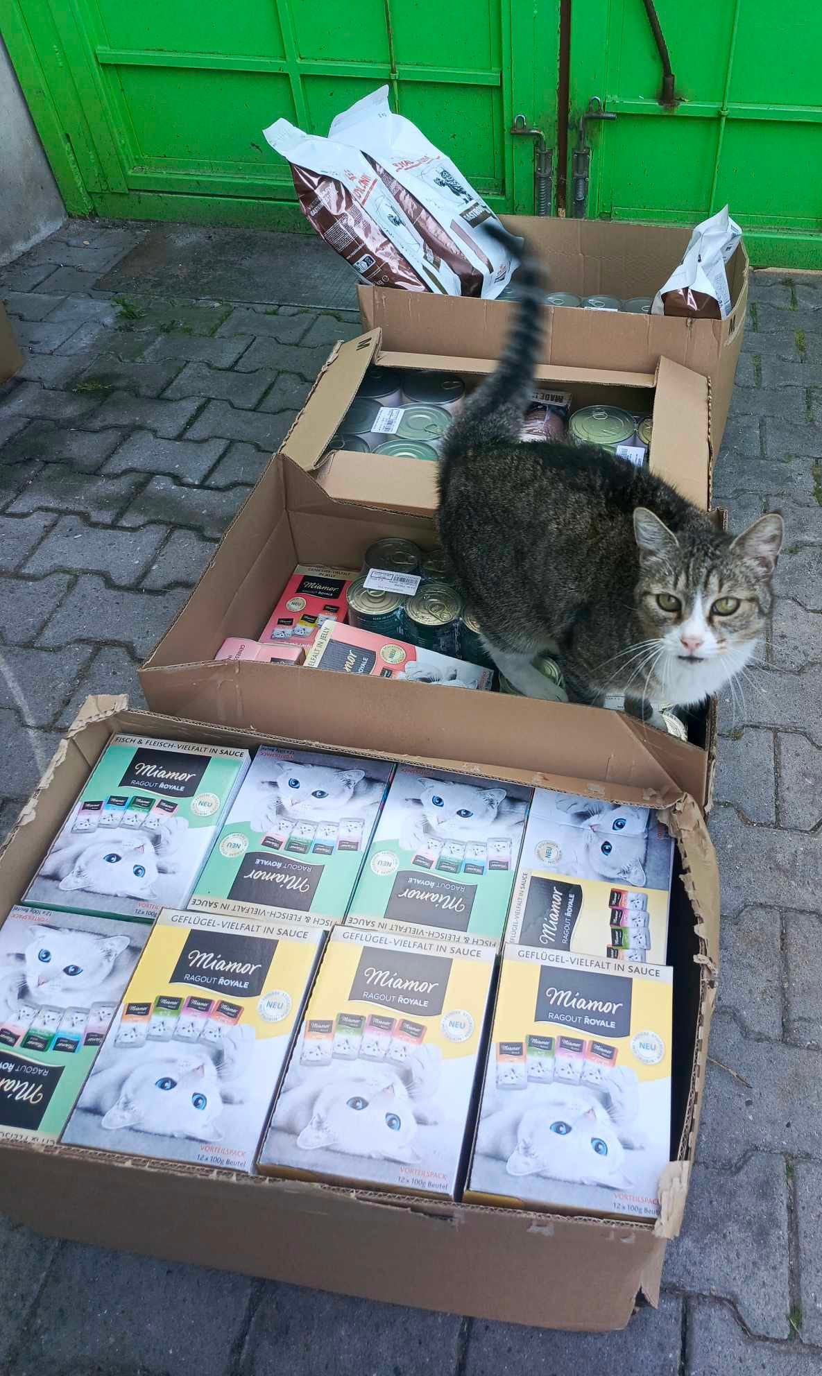 Metrák krmiva pro Kočičky u Niky