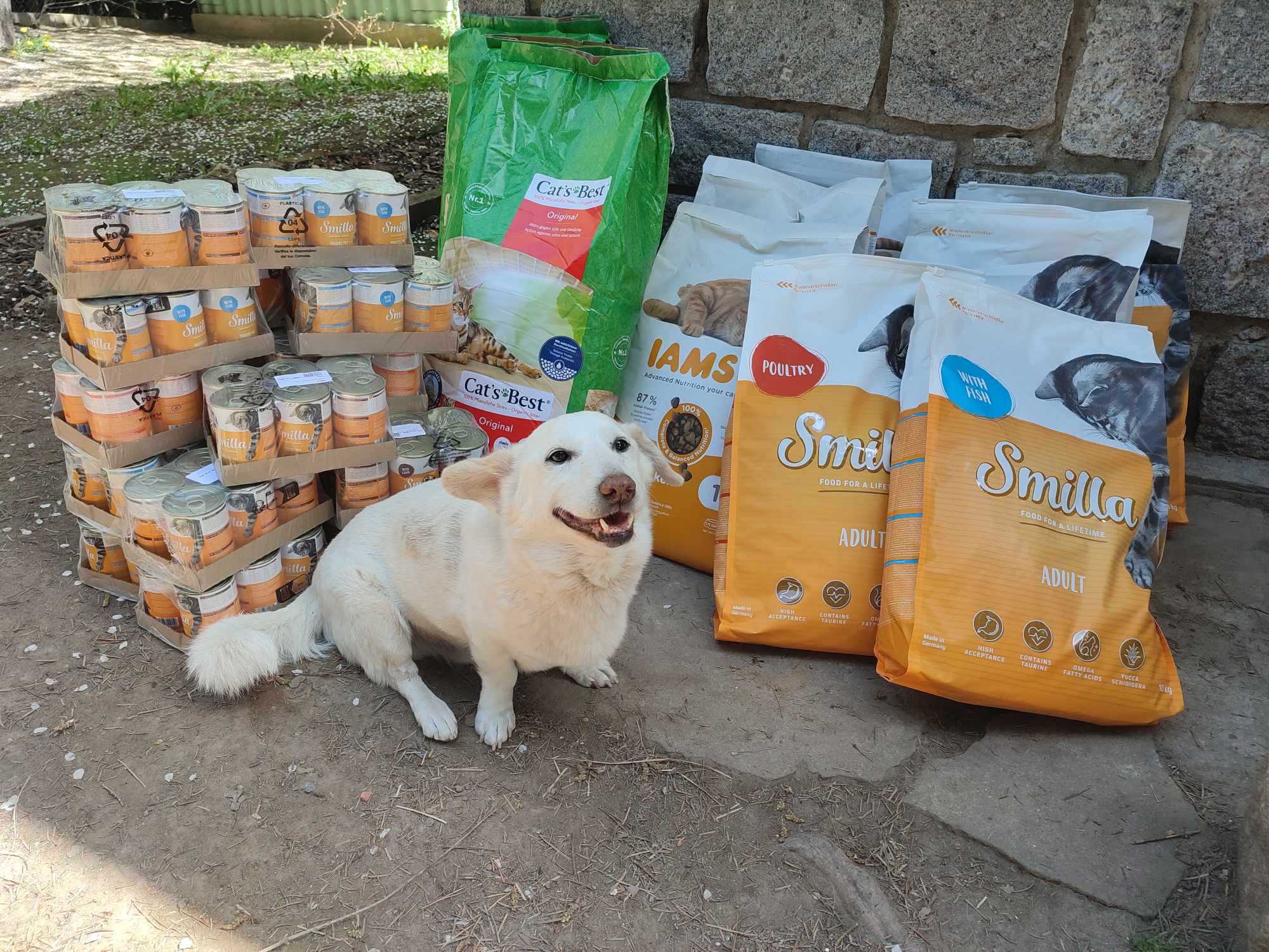 281,2 kg krmiva pro Daisy azyl z.s. a 51,6 kg steliva v březnu 2025