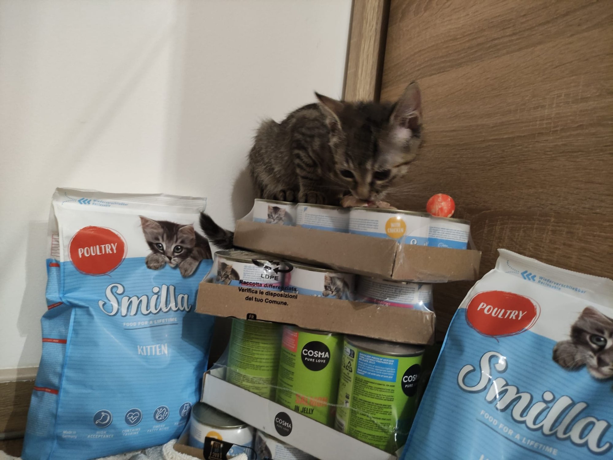 V listopadu zamířilo do Jiřetínského mourka 61 kg krmiva