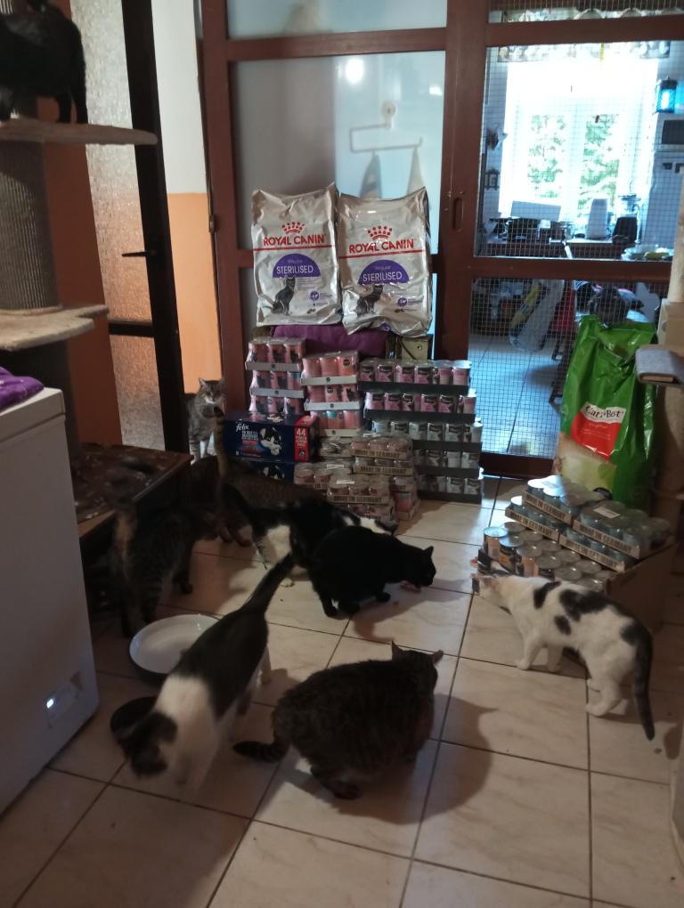 Říjen na Dobrokupu: 422 konzerv pro Azyl Jiřiny Skoumalové, z. s.