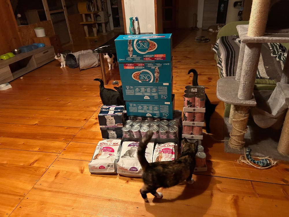 V září míří 274 konzerv krmiva za Navždy s láskou tlapičkám, z. s.: šance i pro ty, na které se zapomíná