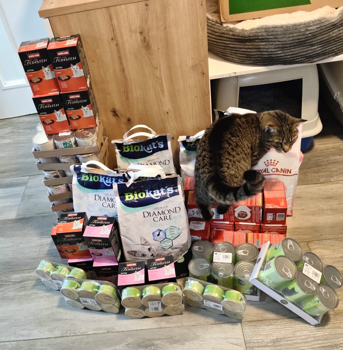 Leden: Posíláme 41 kg krmiva pro Strašecké kočky