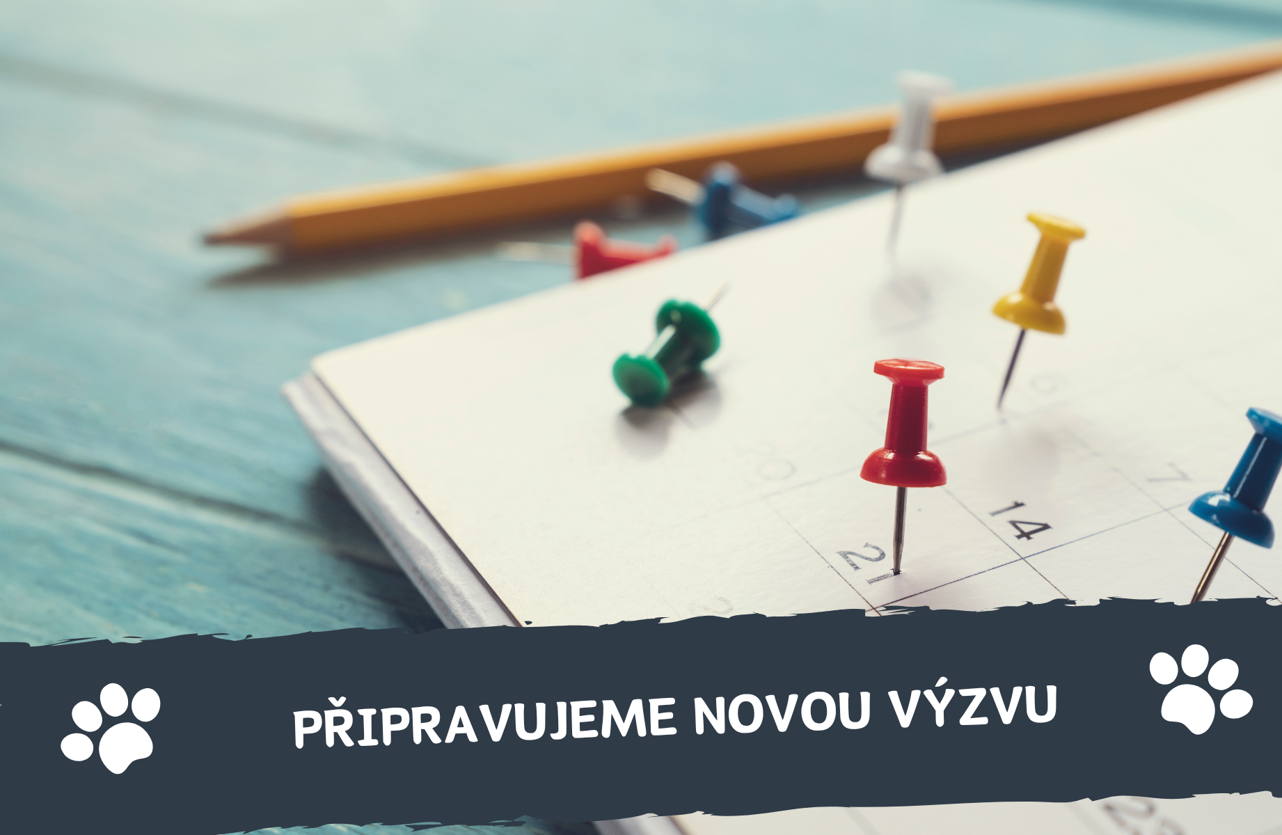 Chystáme novou výzvu